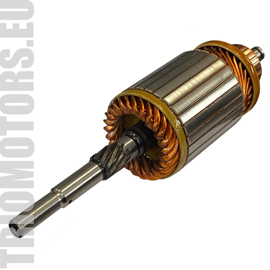 134799 Starter Armature