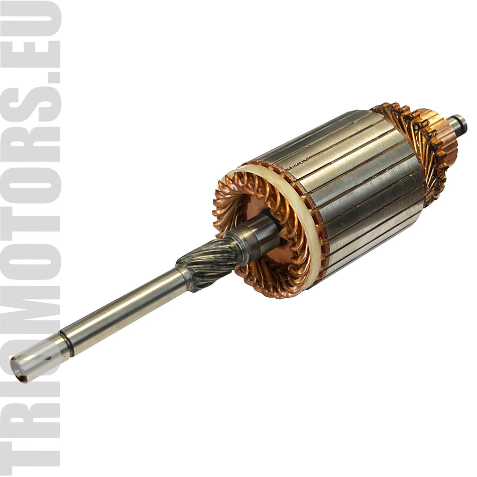 138330 Starter Armature