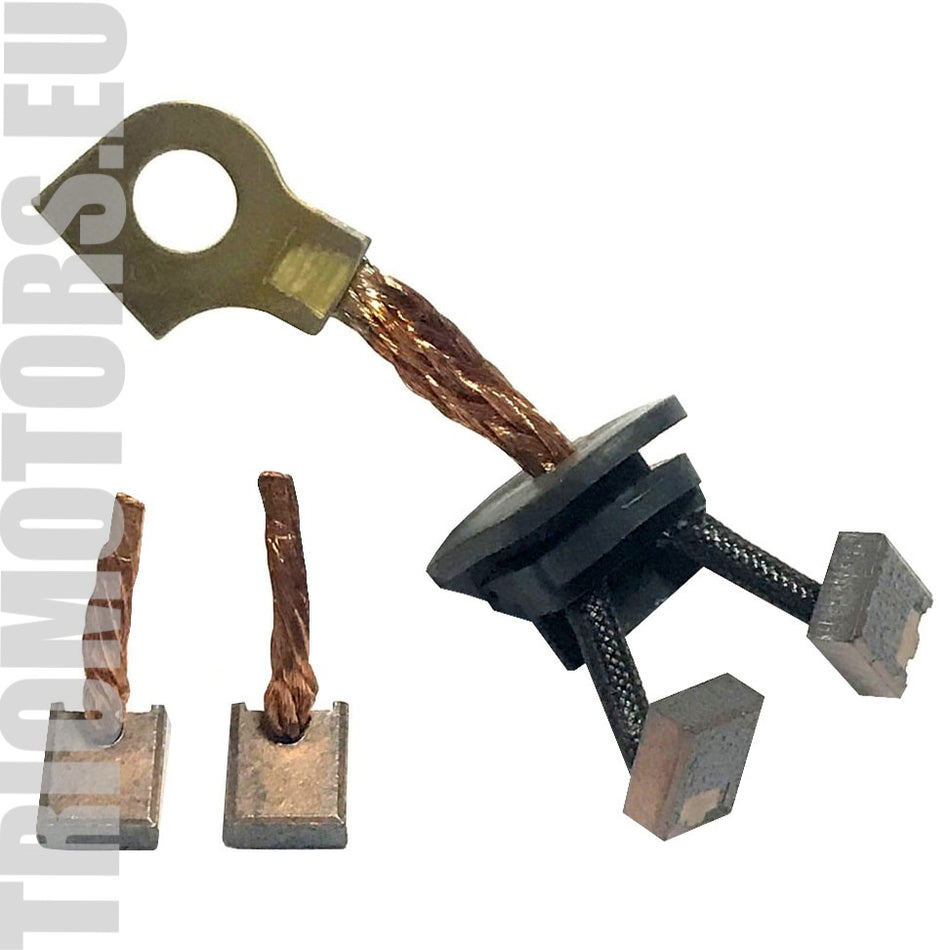 142037 Starter Brushes