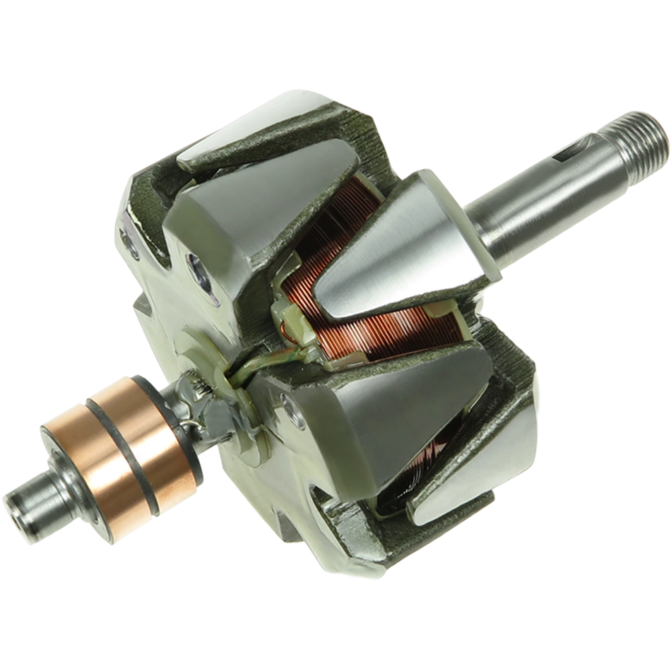 AR0001 Alternator rotor