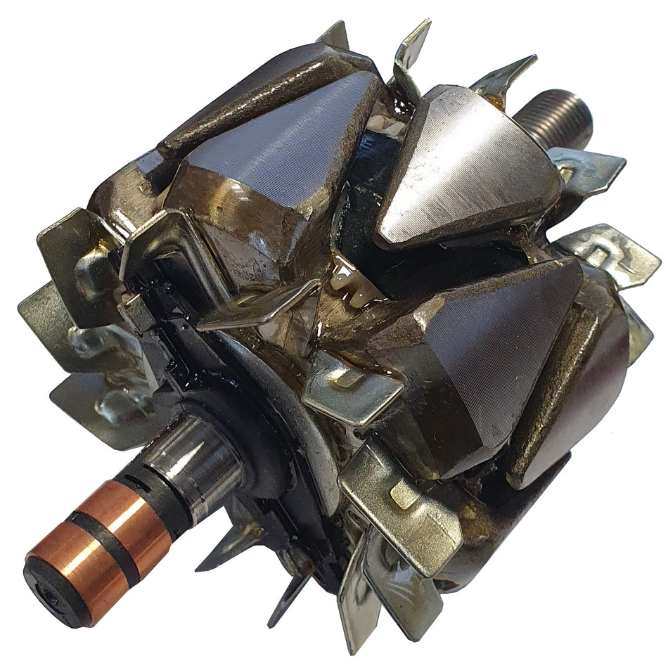 AR4006 Alternator Rotor