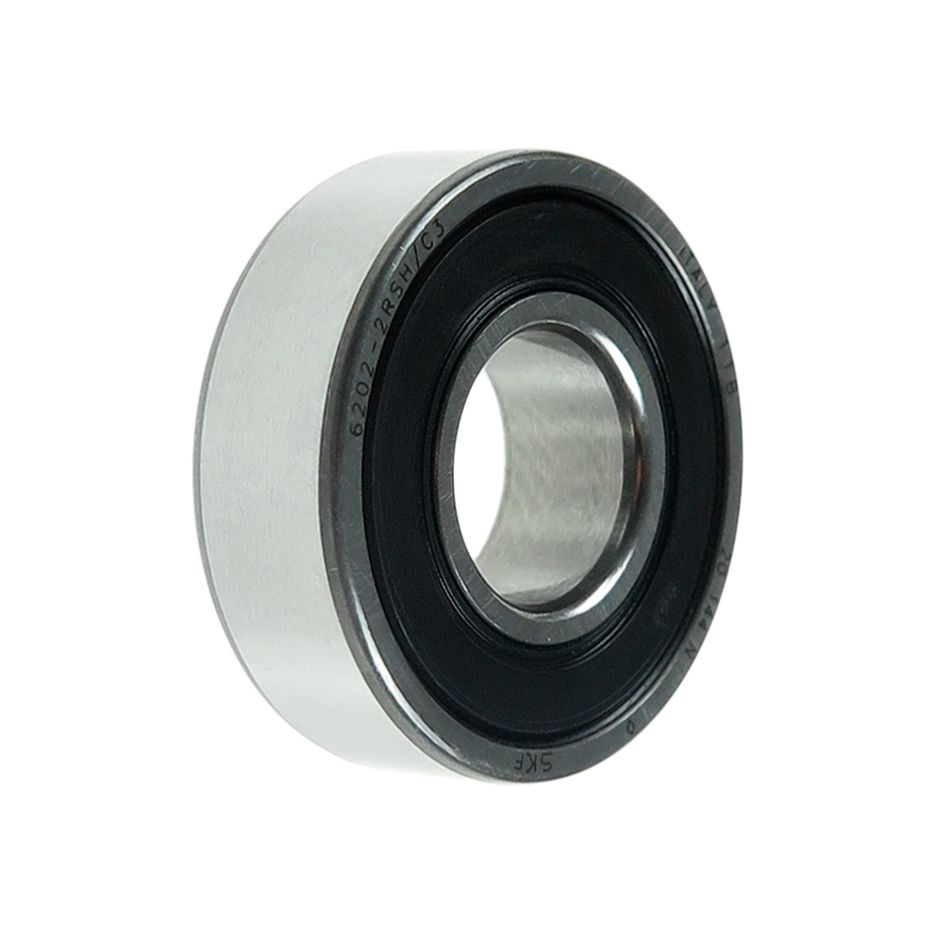 6202 SKF Bearing
