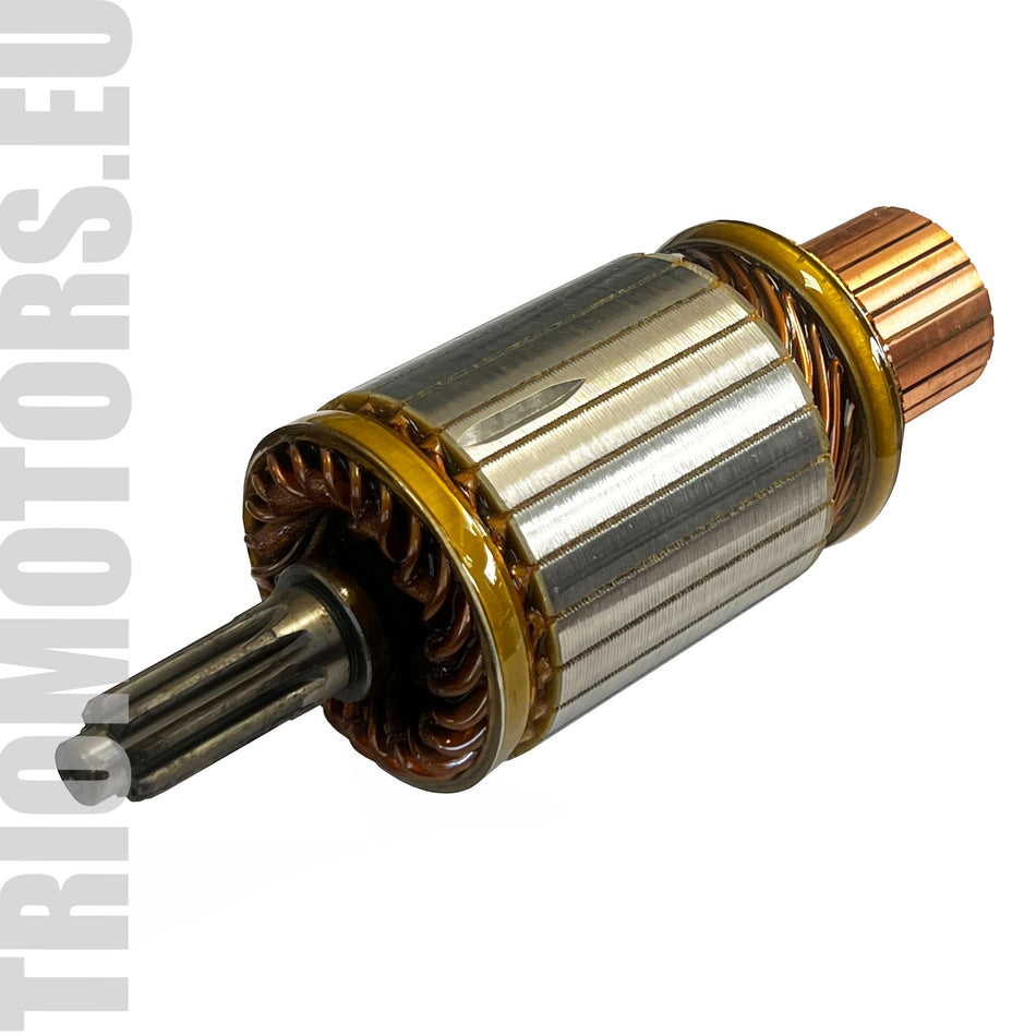 IM3133 Starter Armature