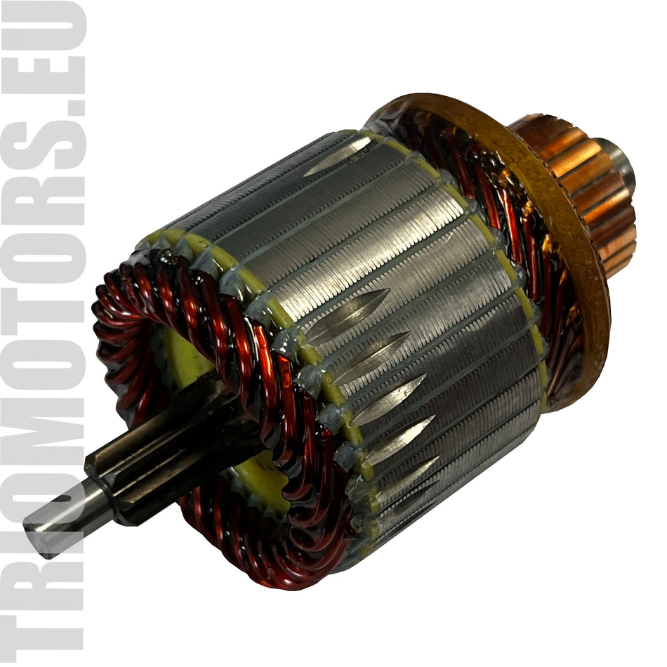 SA2019 Starter Armature