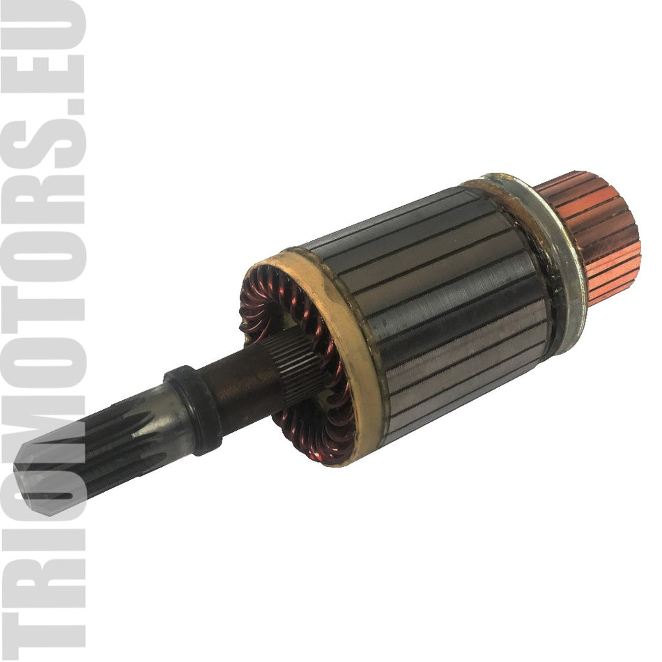 SA2030S Starter Armature