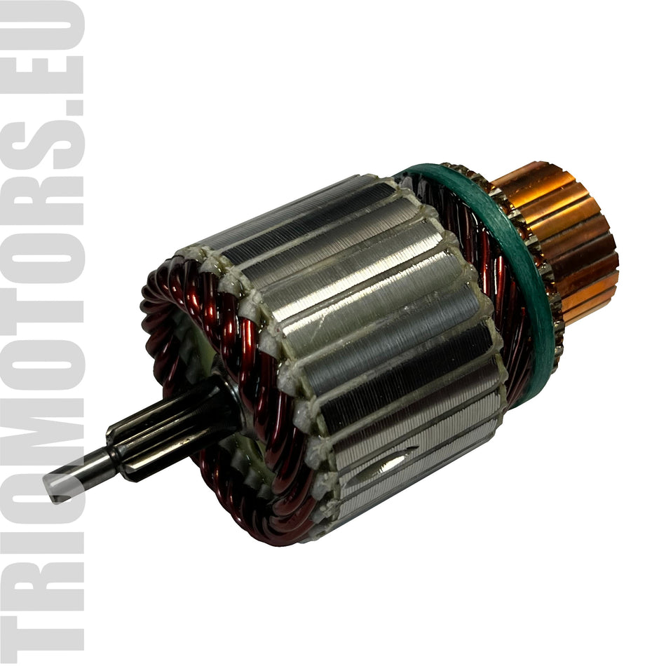 SA6031S Starter Armature