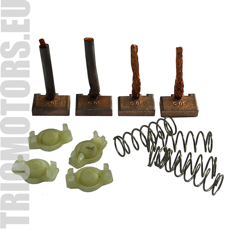 SB9009(LETRIKA) Starter Brushes