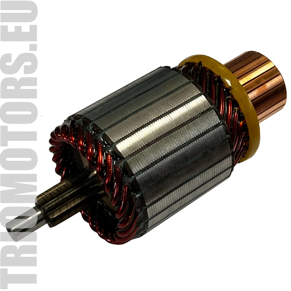 231468 Starter Armature