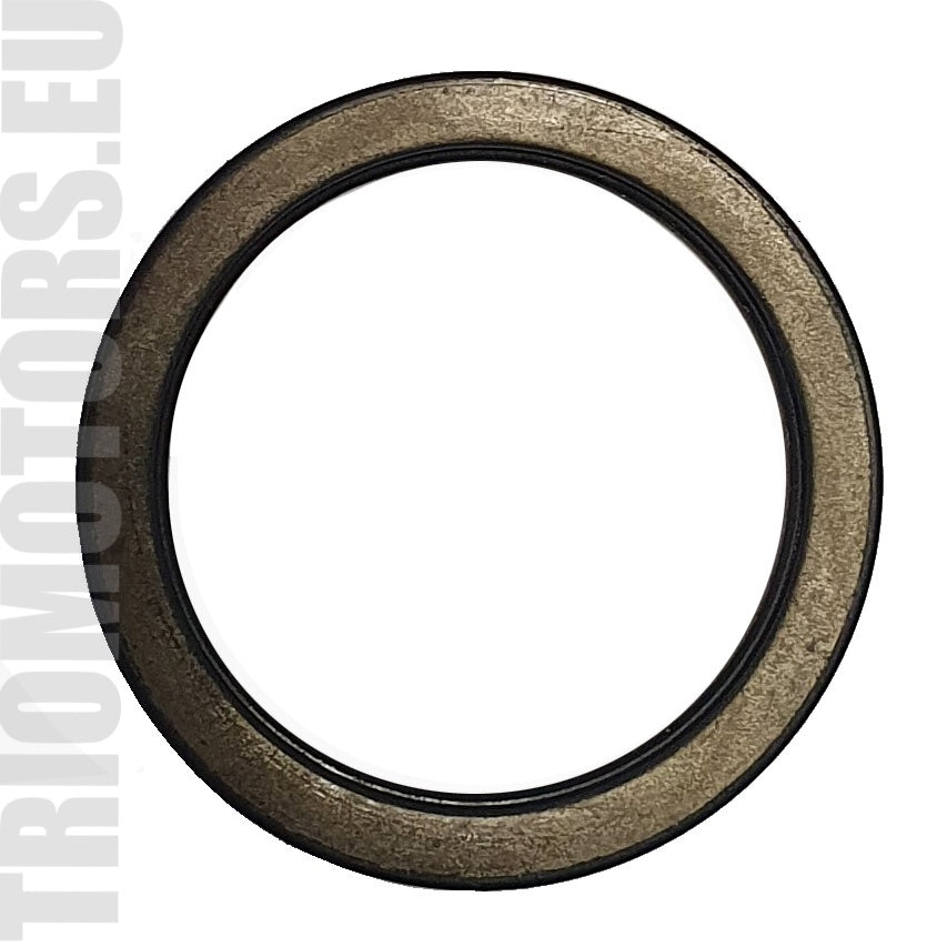 236895 Starter Gasket