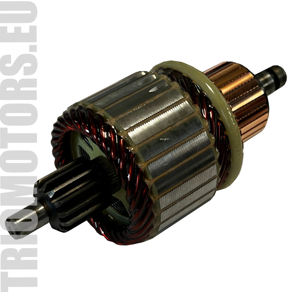 SA0116S Starter Armature