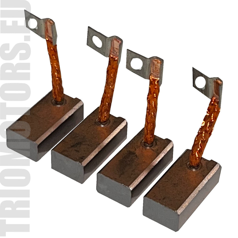 0 1100 1 Starter Brushes