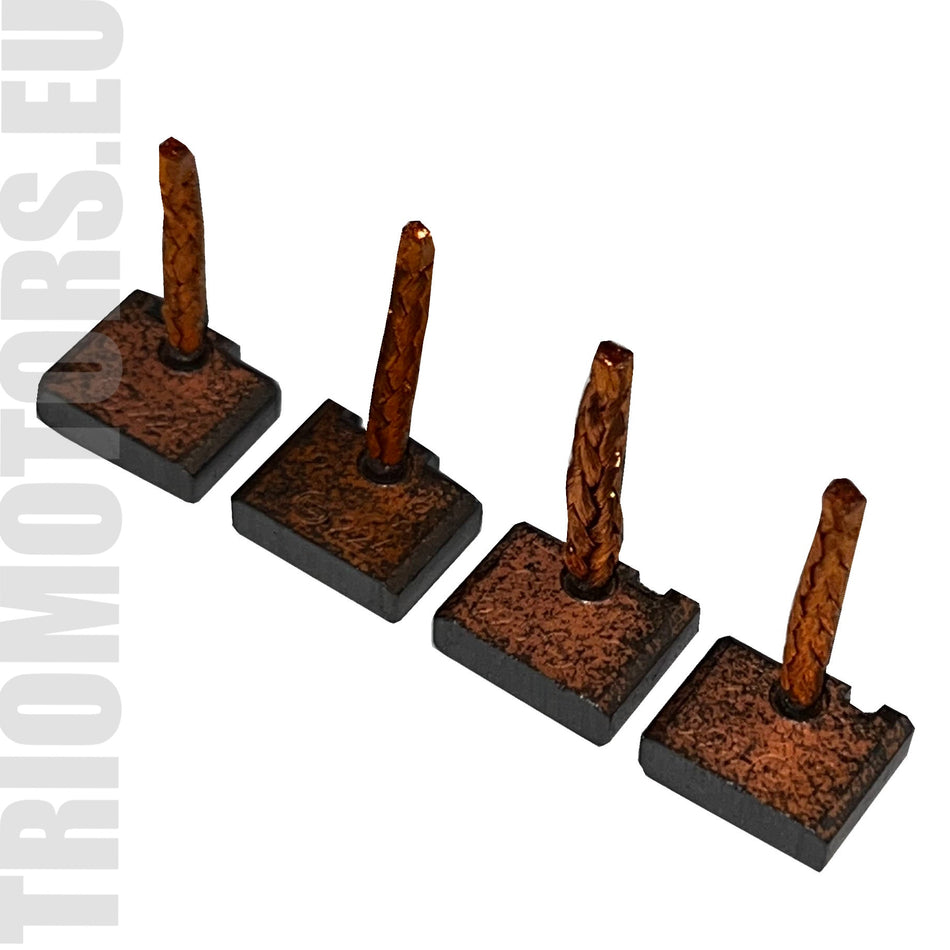 0 1166 1 Starter Brushes