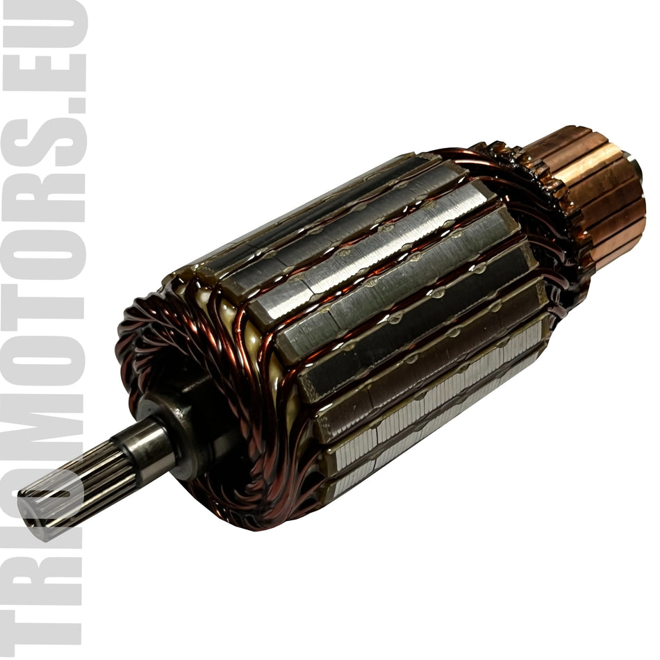 IM3049 Starter Armature