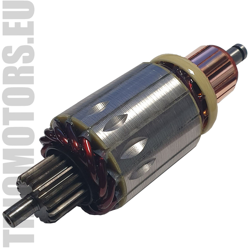 132031 Starter Armature