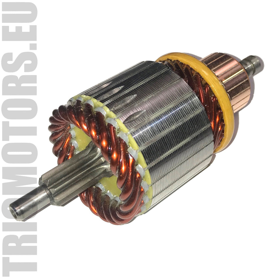 SA0061 Starter Armature