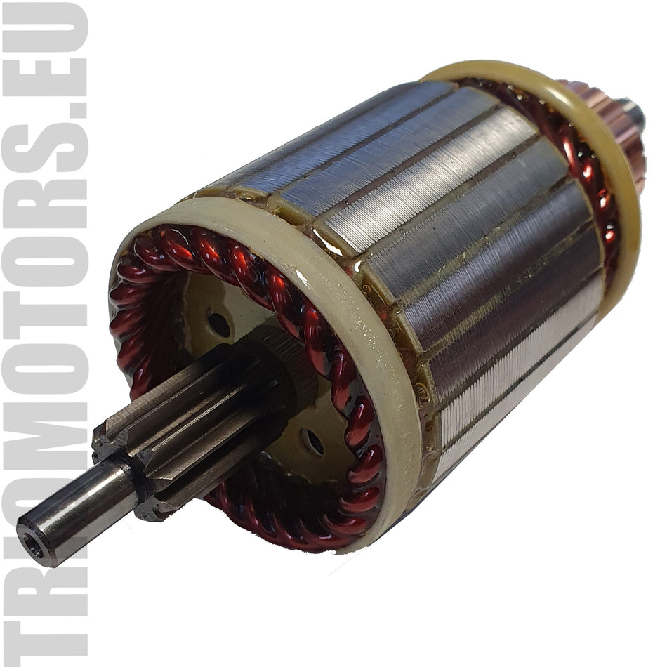 SA0094 Starter Armature