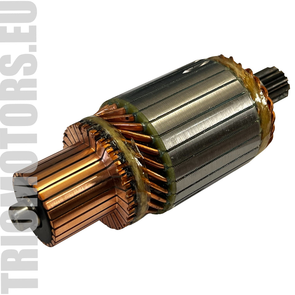 SA2007 Starter Armature
